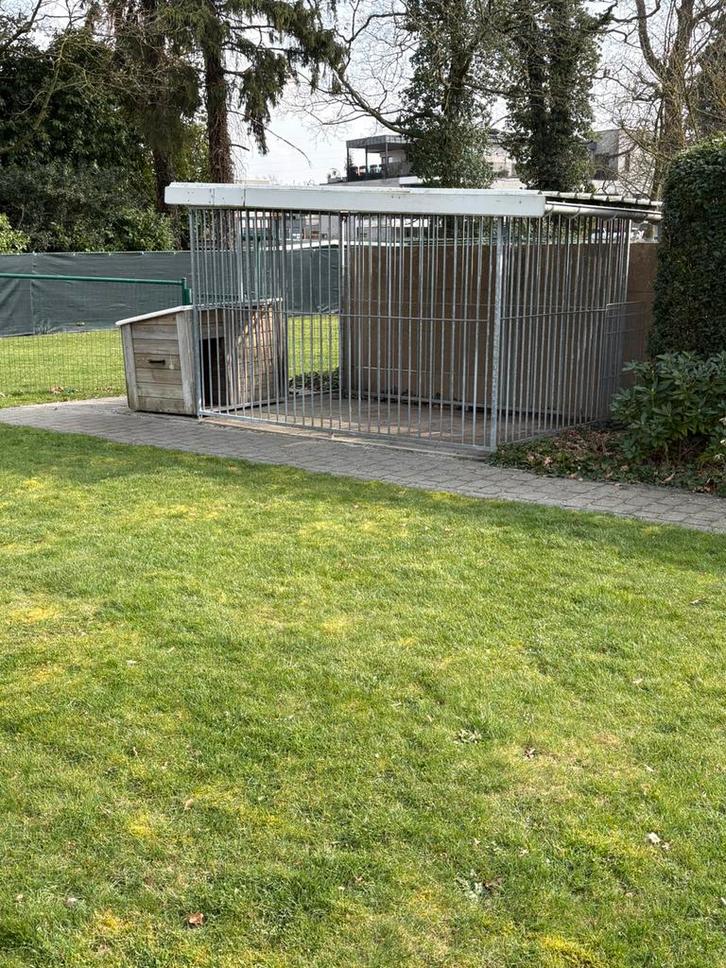 Hondenren met hondenhok, Dieren en Toebehoren, Hondenhokken, Zo goed als nieuw, Ophalen