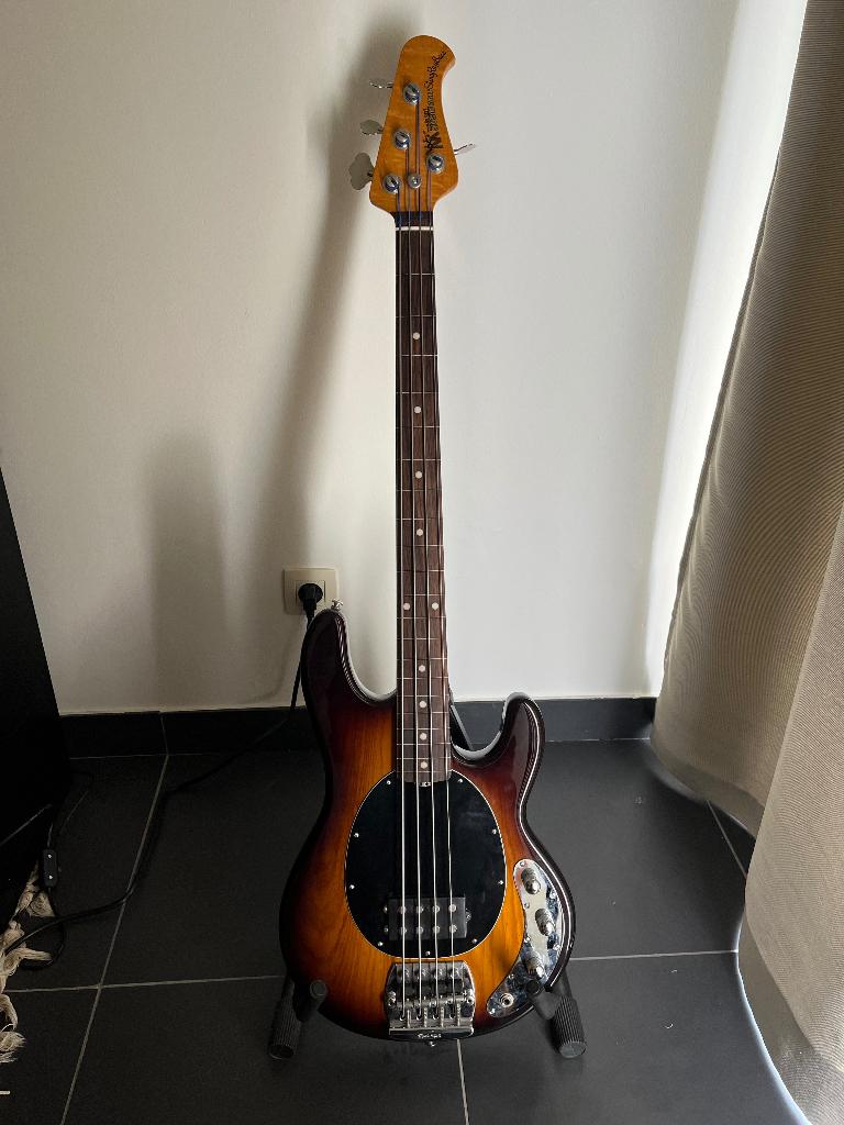 Music Man | Stingray classic (fretless), Musique & Instruments, Instruments à corde | Guitares | Basses, Comme neuf, Électrique