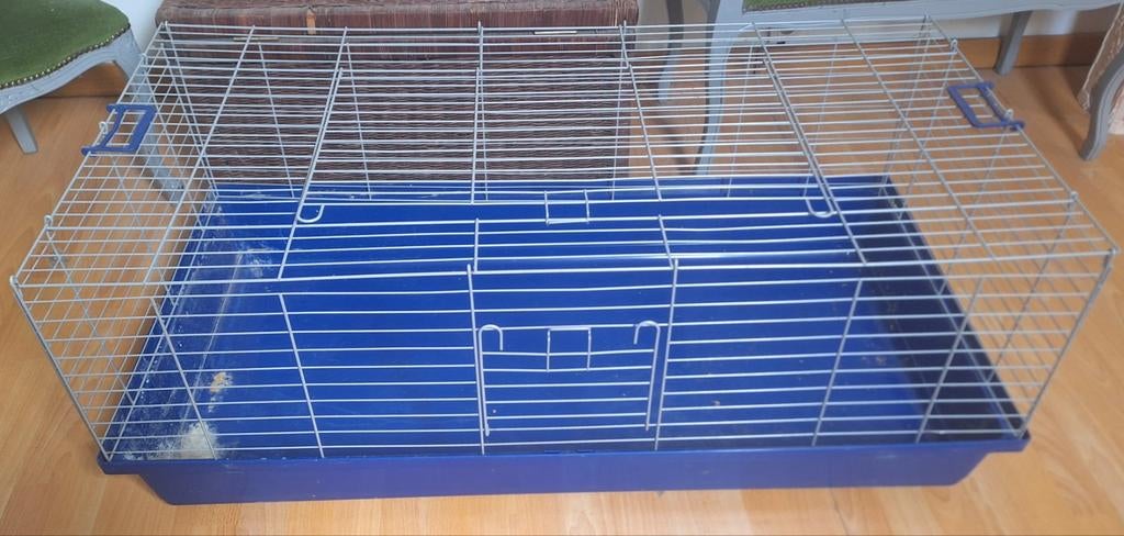 Cage pour rongeur, Enlèvement, Cage