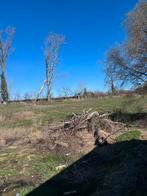 Bois de chauffage/bois de chauffage, Enlèvement