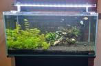 Aquarium sera 120l, Dieren en Toebehoren