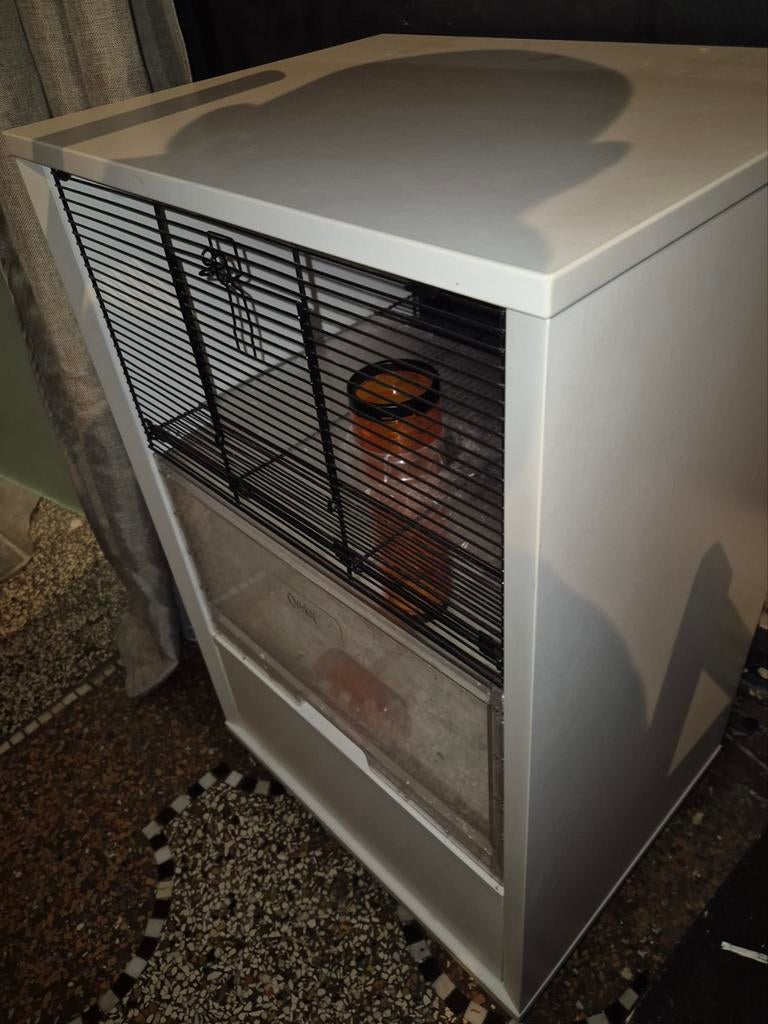 Meuble cage a hamster, Enlèvement, Cage, Hamster