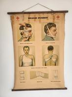 Oude poster geneeskunde, Antiek en Kunst, Ophalen, Natuur en Biologie