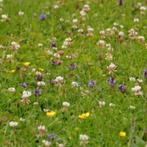 Tegen onkruid in gazon (oude formule), Tuin en Terras, Ophalen of Verzenden, Nieuw, Onkruidbestrijding