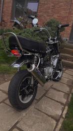 Dax – B-klasse – Origineel 50cc blok – Papieren aanwezig, Ophalen