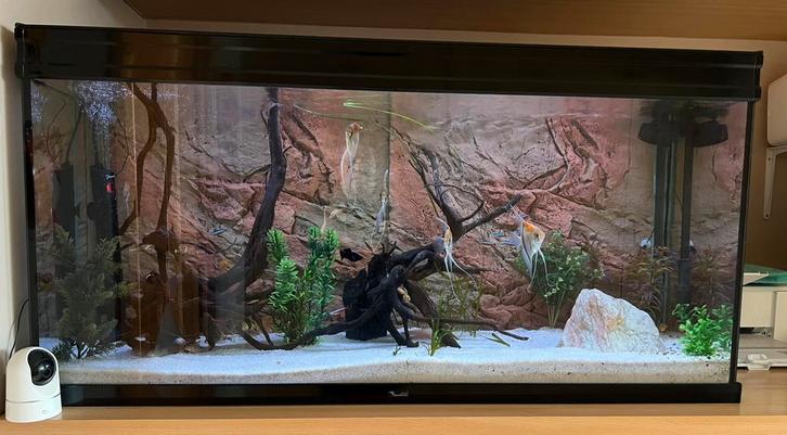 Aquarium Aquatlantis, Dieren en Toebehoren, Vissen | Aquaria en Toebehoren, Zo goed als nieuw, Filter, Aquatlantis, Ophalen