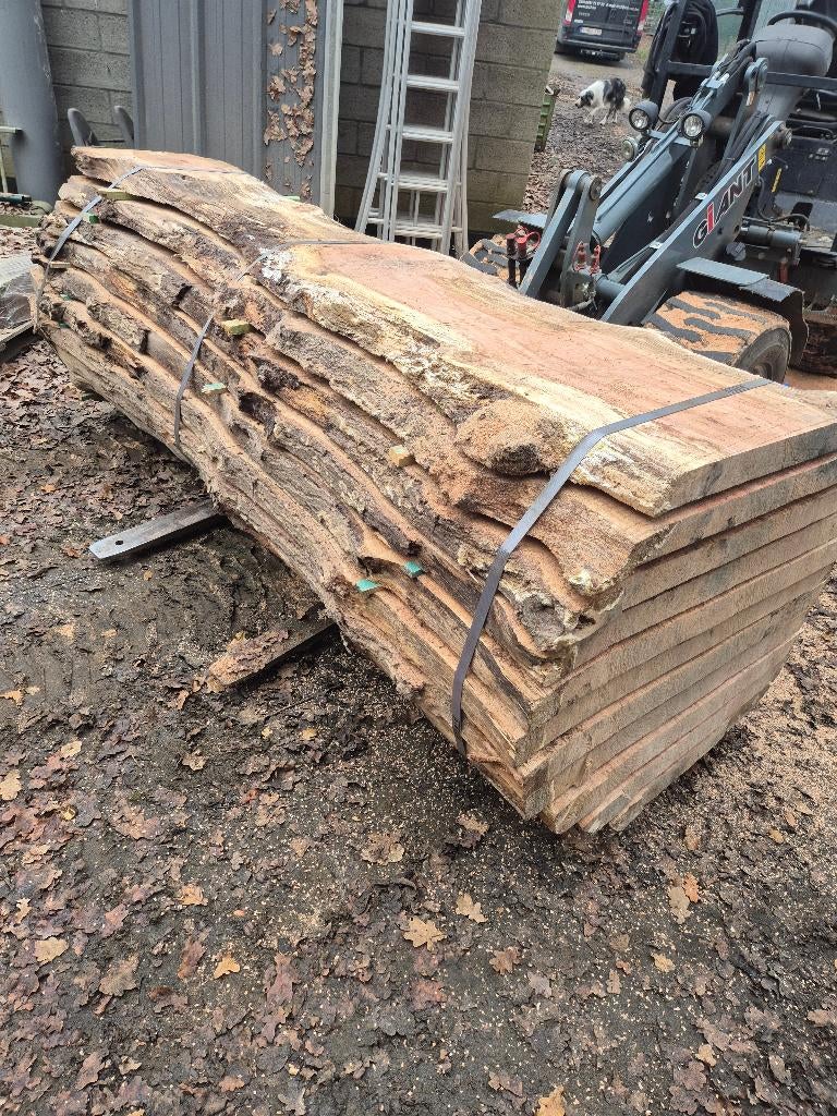 schaaldelen eik, Enlèvement