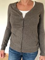 Promod vest voor dames, Ophalen, Zo goed als nieuw