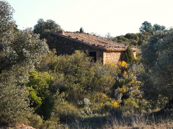 Finca in Fabara (Aragón, Spanje) - 1114, Immo, Buitenland, Spanje, Overige soorten, Landelijk
