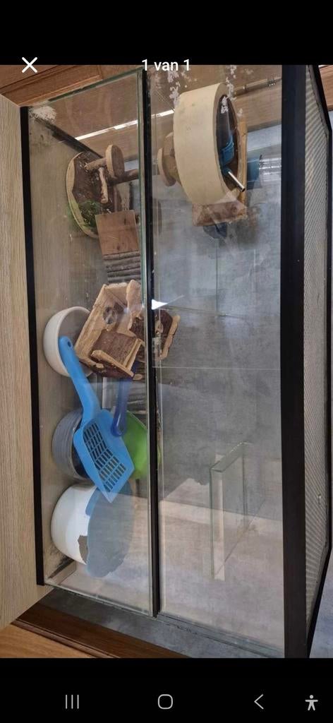 Hamsterkooi in glas, Ophalen