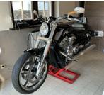 Harley Davidson V-Rod Muscle 2014, Permis Moto A, Occasion, Plus de 35 kW, Chopper