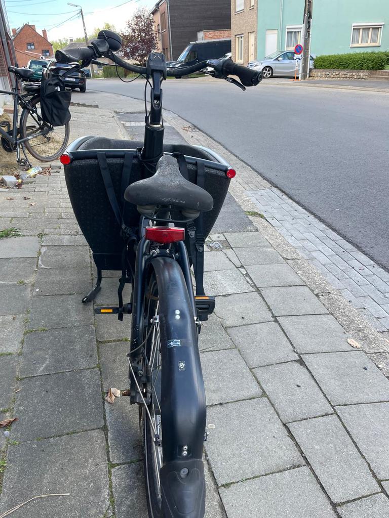 Bakfiets Urban Arrow, Gebruikt, Huif, 2 kinderen, Ophalen