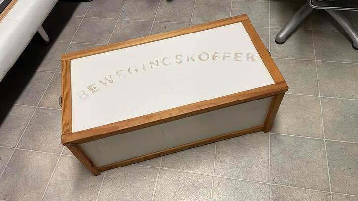 Speelkoffer of verkleedkoffer, Maison & Meubles, Accessoires pour la Maison | Coffres, Utilisé, Enlèvement