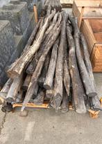 ACACIA / ROBINIA PALEN 2.50m diam 8/10, Tuin en Terras, Ophalen, Palen, Nieuw, Hardhout