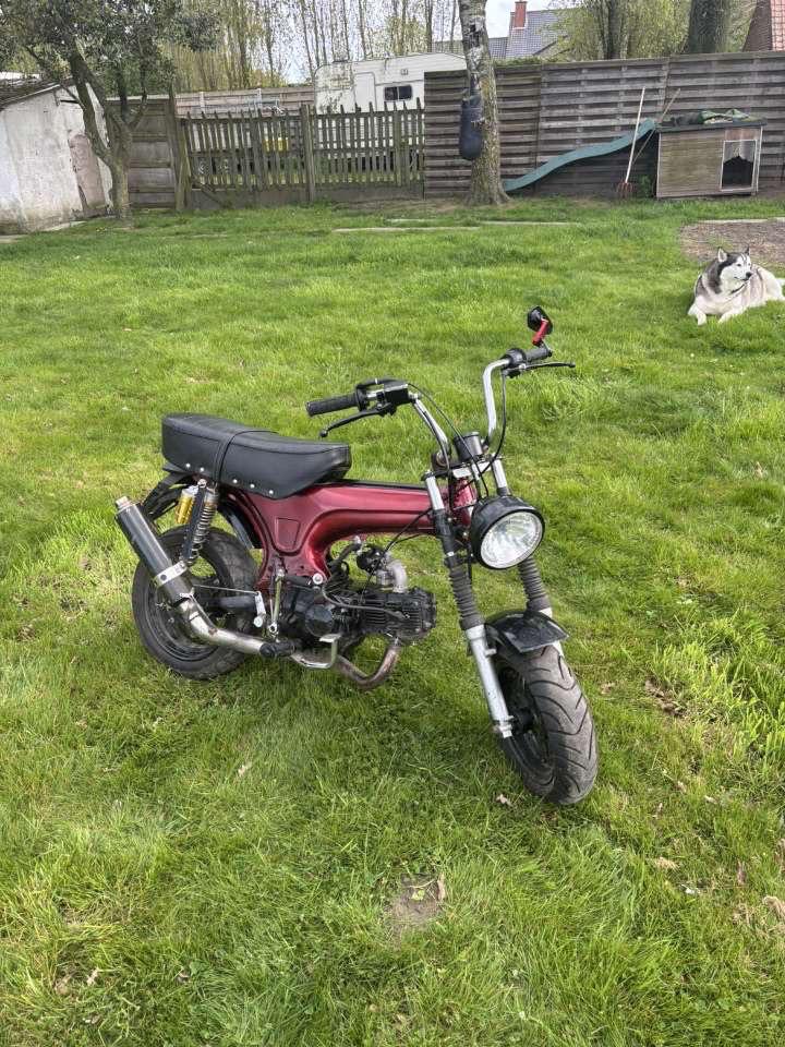 Dax, Vélos & Vélomoteurs, Cyclomoteurs | Tomos, Enlèvement, Comme neuf