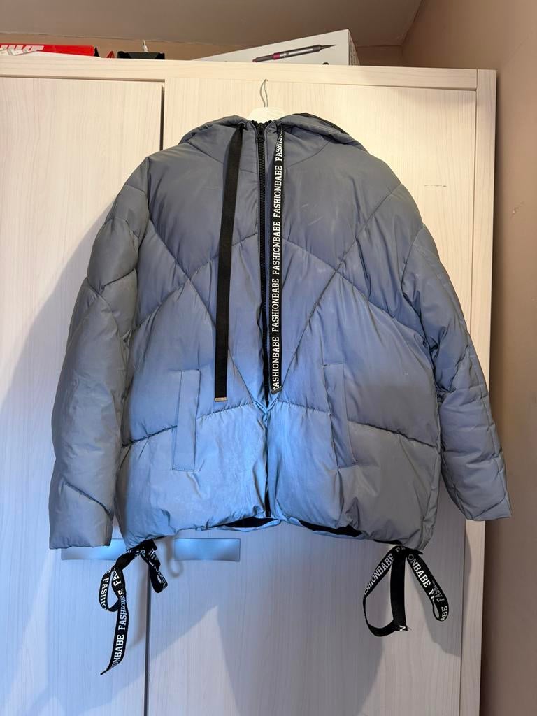 Dames winter jas, Ophalen, Zo goed als nieuw, Maat 48/50 (M), Grijs