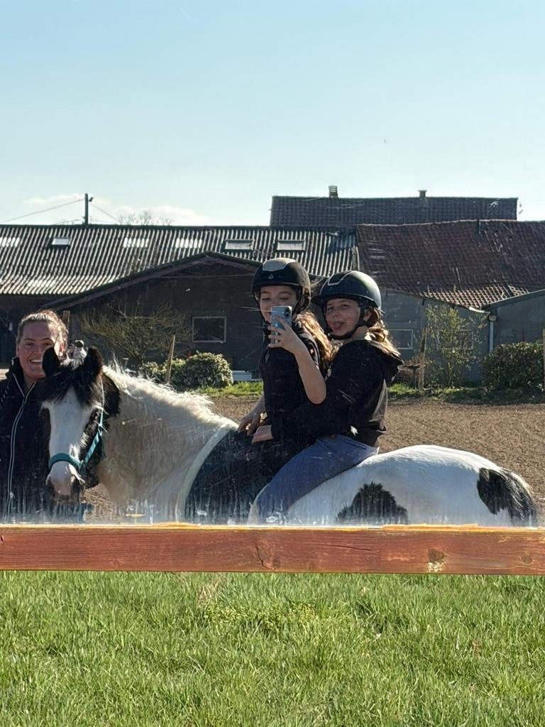 Paardrijlessen te Dessel