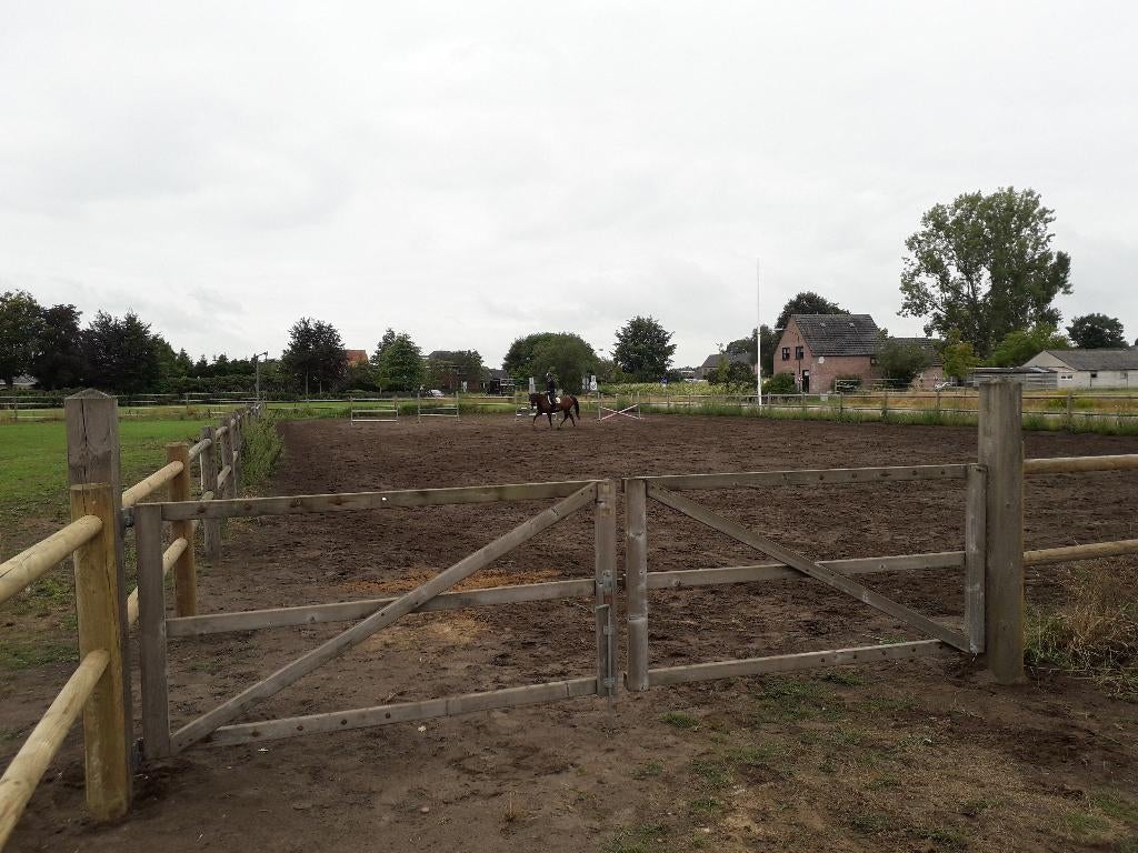 pensionstalling, Dieren en Toebehoren, Stalling en Weidegang, Stalling