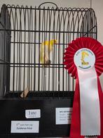 Zuid Hollandse frizee, Dieren en Toebehoren