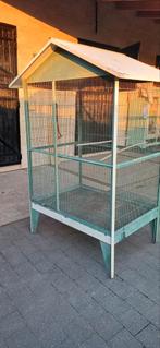 Petite volière, Enlèvement