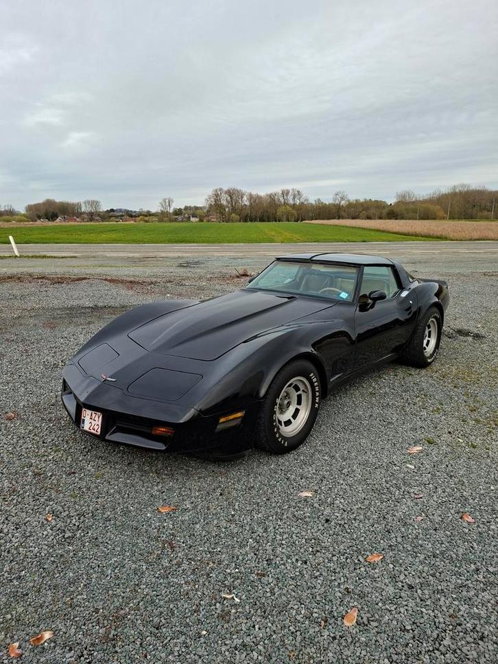 Corvette c3 1981, Autos, Chevrolet, Particulier, Corvette, Cruise Control, Essence, Automatique, Propulsion arrière, Enlèvement