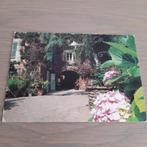 Zichtkaart Bormes les mimosas . geschreven door Jef Nys., Enlèvement ou Envoi, Utilisé, Étranger