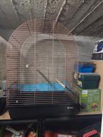 Vogelkooi, Dieren en Toebehoren, Ophalen, Vogelkooi