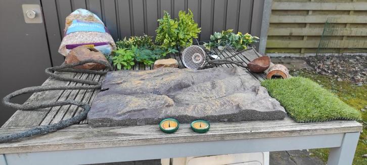 Accessoires de terrarium + paroi arrière 3D taille : 57,5 x, Animaux & Accessoires, Reptiles & Amphibiens | Accessoires, Enlèvement ou Envoi