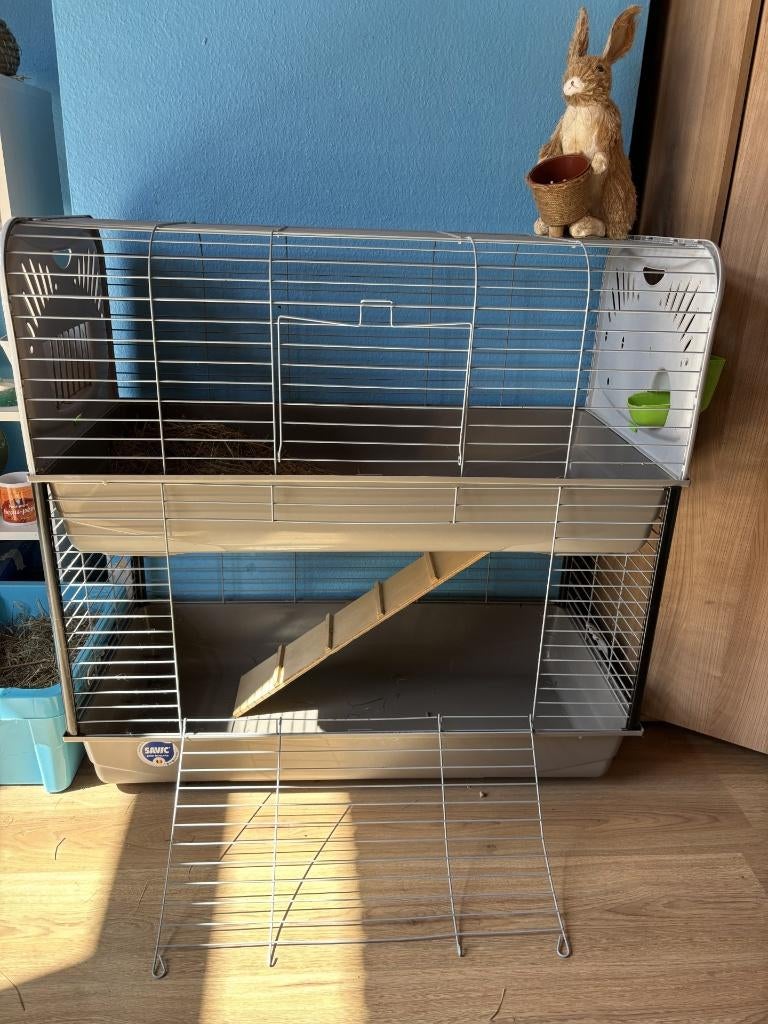 KONIJN, Dieren en Toebehoren, Konijnen, Groot