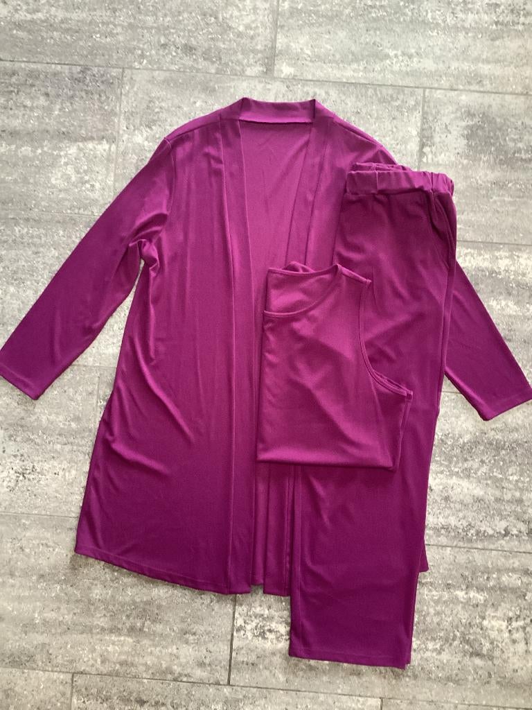 Ensemble 3 pièces de pantalon, haut, gilet XL, Vêtements | Femmes, Packs de vêtements pour femmes, Neuf, Taille 42/44 (L), Enlèvement ou Envoi