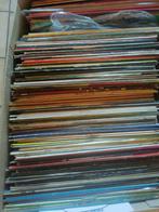 Lot Lp platen en singels, Verzamelen, Ophalen