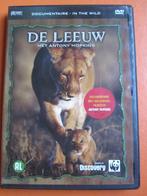 De leeuw, Cd's en Dvd's, Dvd's | Documentaire en Educatief, Alle leeftijden, Ophalen of Verzenden, Zo goed als nieuw, Natuur