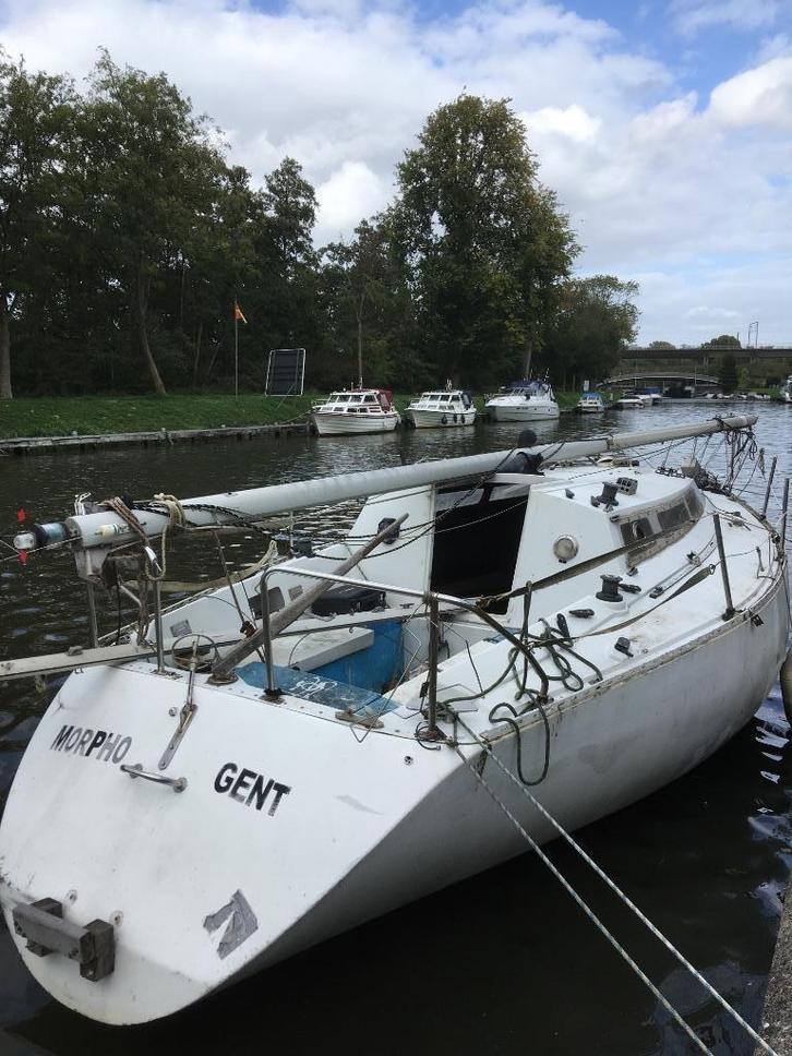 Barberis Show 27, Watersport en Boten, Kajuitzeilboten en Zeiljachten, Gebruikt, Tour-wedstrijdjacht, Polyester, 6 tot 9 meter