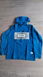 Blauwe hoodie, Ophalen of Verzenden, Nieuw, Jongen, Trui of Vest