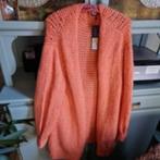 Orange cardigan, Nieuw, ANDERE, Oranje, Maat 46/48 (XL) of groter