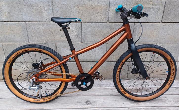 VTT enfant 20" haut de gamme, Fietsen en Brommers, Fietsen | Kinderfietsjes, Gebruikt, 20 inch of meer, Ophalen of Verzenden