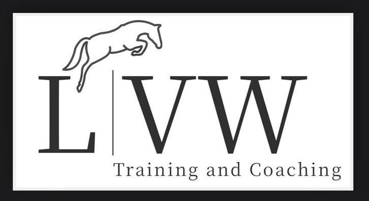 Paardrijlessen Jumping & Training, Dieren en Toebehoren, Paarden