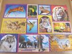 Puzzel wilde dieren, Ophalen of Verzenden, Zo goed als nieuw
