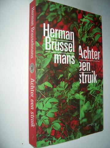 Herman Brusselmans - Achter een struik beschikbaar voor biedingen