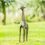 Mooievogels - giraffen, Geslacht onbekend