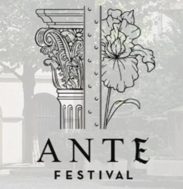 2 passen Bezoek ANTE Festival Brussels beschikbaar voor biedingen