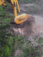 RONGNEUSE DE SOUCHE, Enlèvement ou Envoi