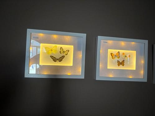 Echte vlinders in lijst met verlichting op batterij, Verzamelen, Dierenverzamelingen, Nieuw, Opgezet dier, Insect, Ophalen
