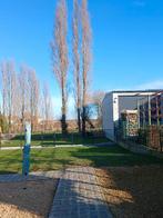 Brandhout te koop +- maart april, Tuin en Terras, Brandhout, Ophalen