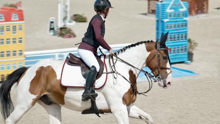 Privé springlessen met focus op vertrouwen en techniek, Animaux & Accessoires, Chevaux