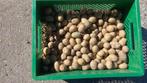 Pootgoed aardappelen Twinner, Tuin en Terras, Ophalen, Nieuw