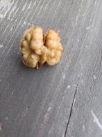 5kilo verse okkernoten, Enlèvement