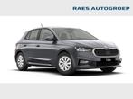 Skoda Fabia Fabia 1.0 TSI Family, Argent ou Gris, Achat, Airbags, Boîte manuelle