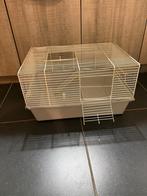 Hok Cavia, hamster..., Minder dan 60 cm, Minder dan 75 cm, Ophalen of Verzenden, Hok