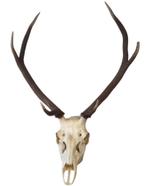 oud hertegewei. 85 cm totale hoogte, Ophalen